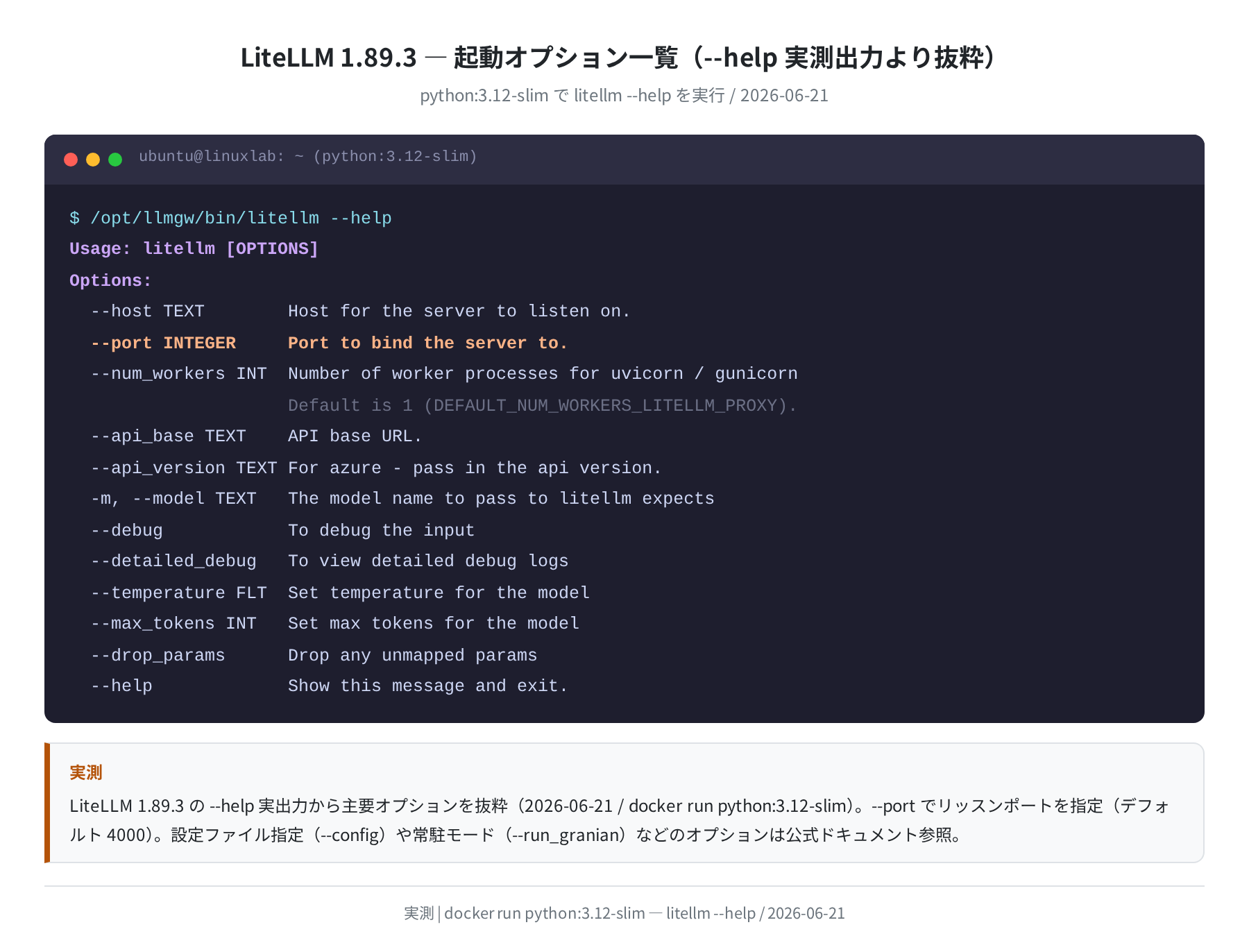 LiteLLM 1.89.3 起動コマンドオプション（--help 実測出力）