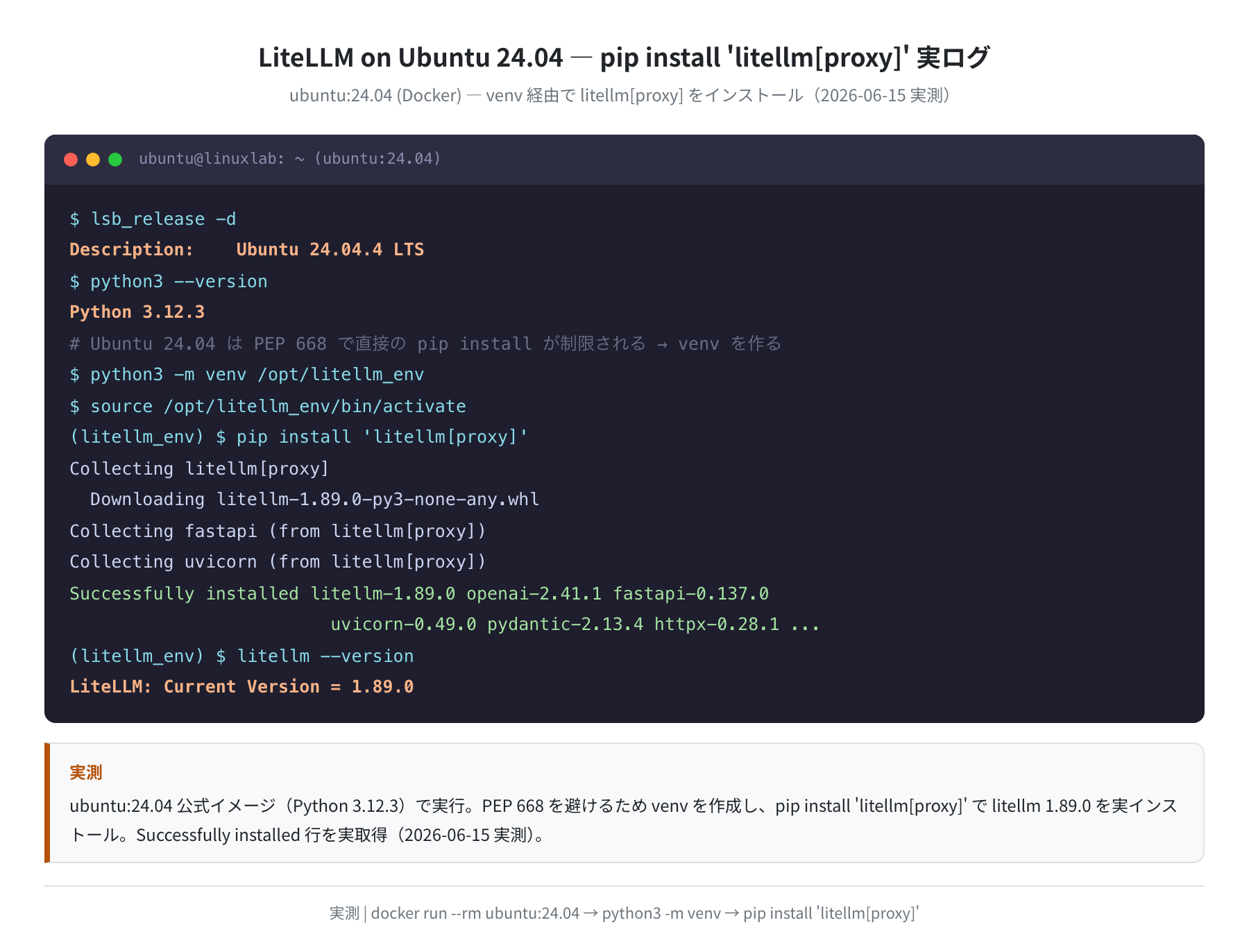 litellm proxy エクストラの pip install 実行ログ(Ubuntu 24.04.4 LTS 実測)