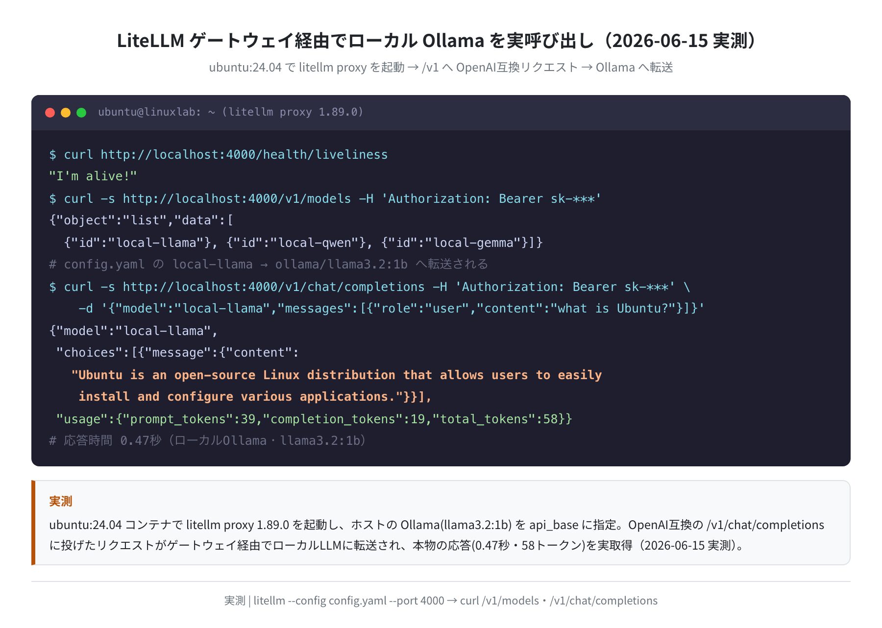LiteLLM ゲートウェイ経由でローカルOllamaを実呼び出しした実測ログ(Ubuntu 24.04)