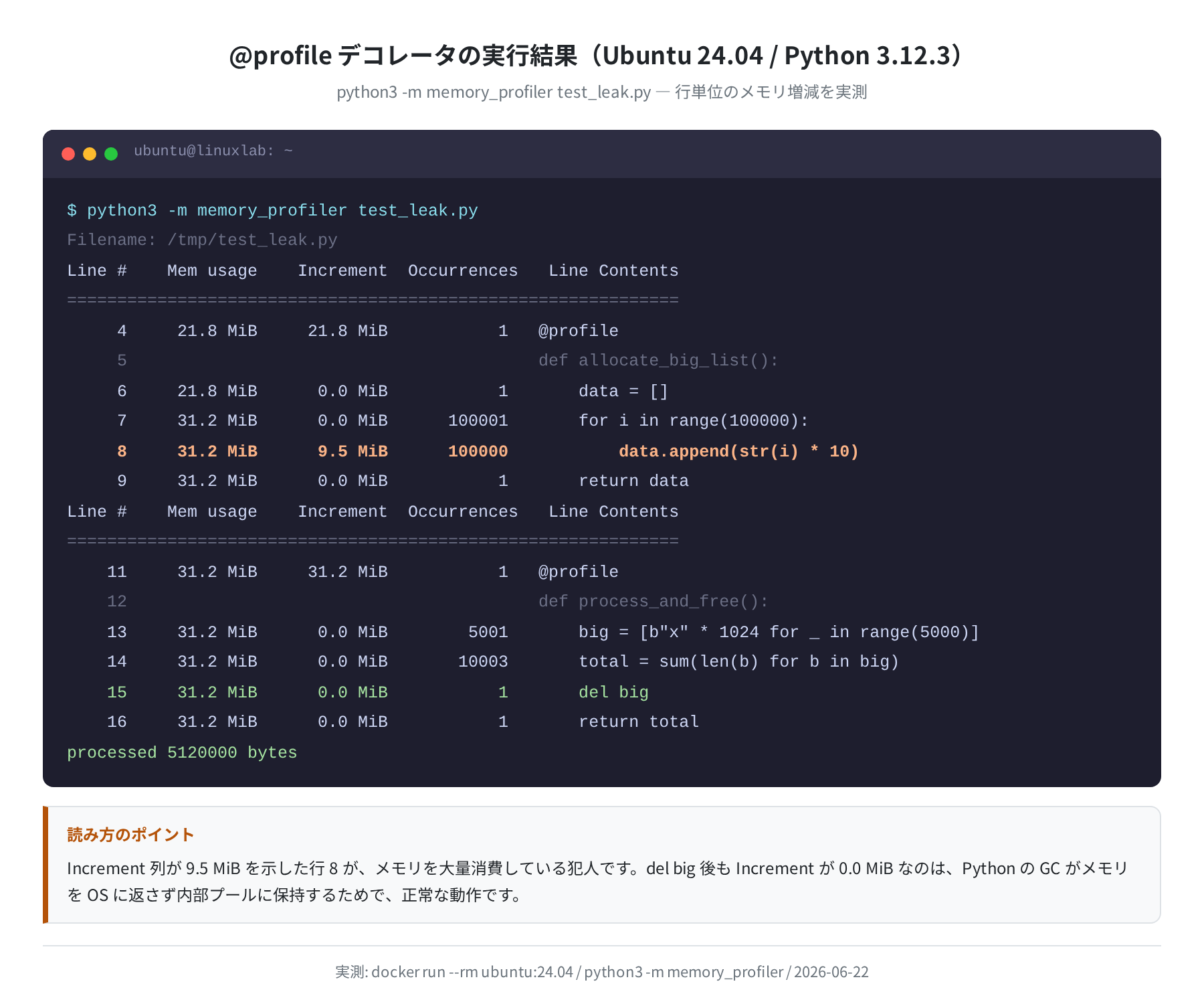 @profile デコレータ実行結果（行単位メモリ使用量）（実測）