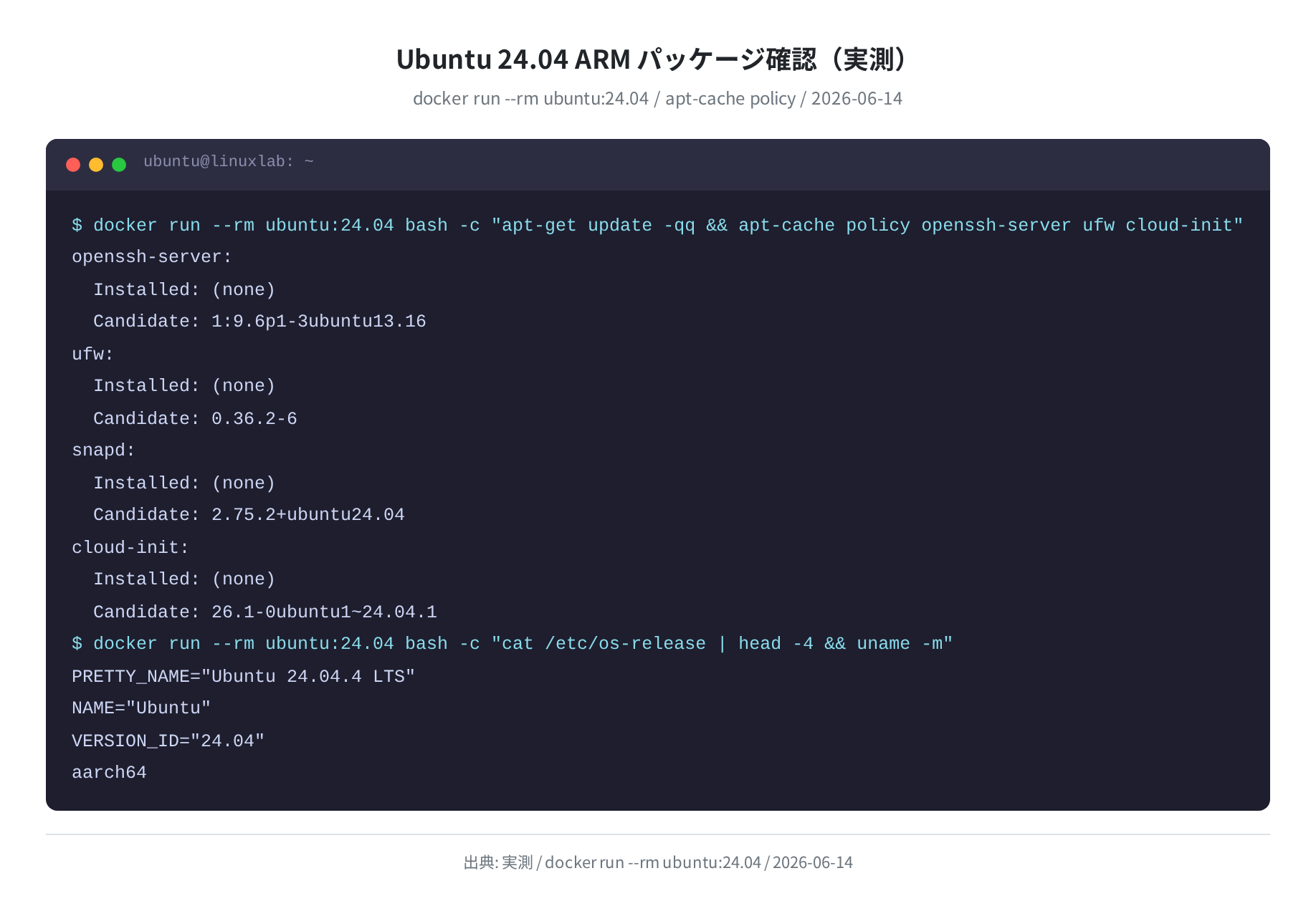 Ubuntu 24.04 ARM パッケージ確認（Docker 実測 2026-06-14）