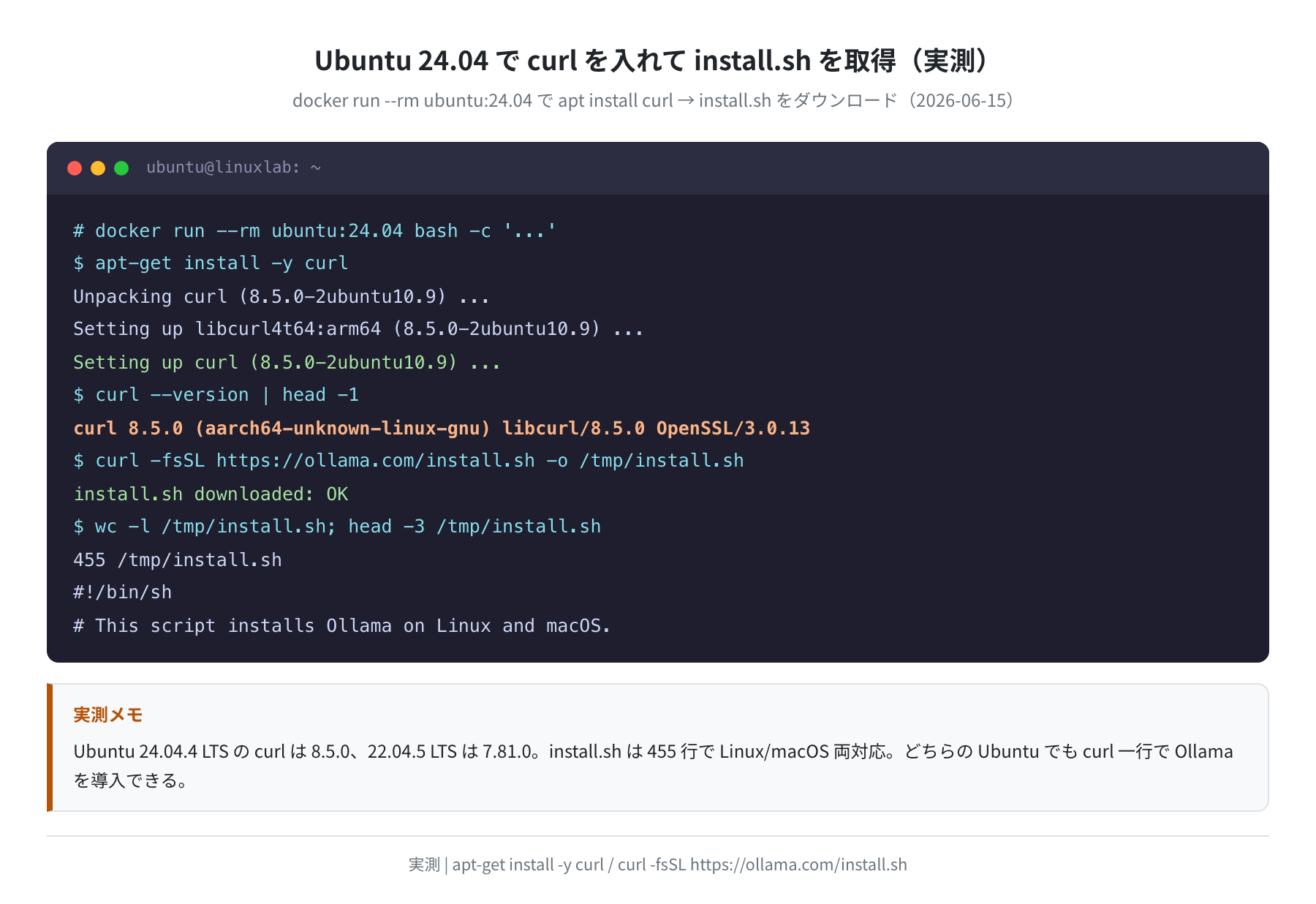 Ubuntu 24.04 での curl インストールと install.sh 取得の実測ログ