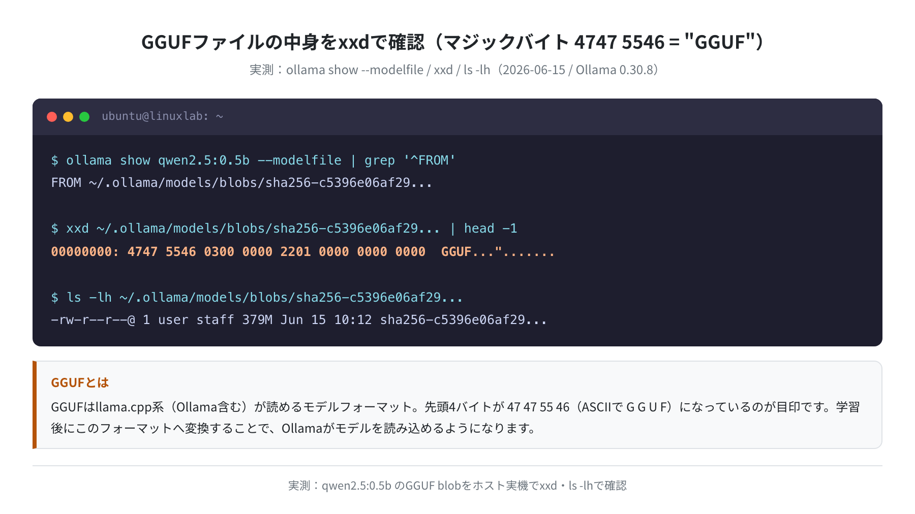 GGUFマジックバイト 4747 5546 の実測ログ