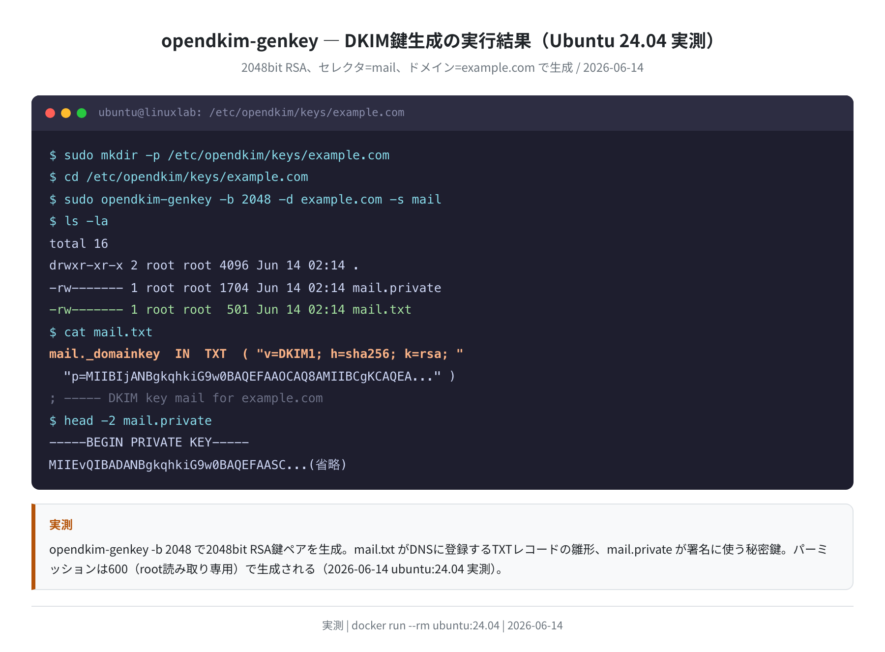 opendkim-genkey 鍵生成の実行結果(Ubuntu 24.04 実測)