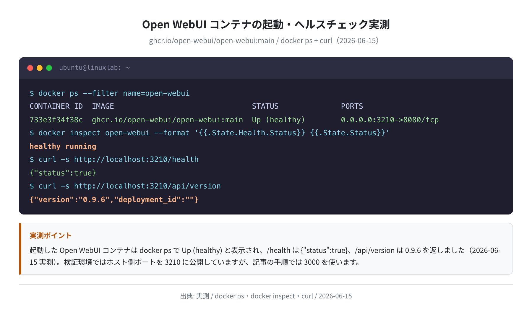 docker run + ヘルスチェック・バージョン確認(実測)