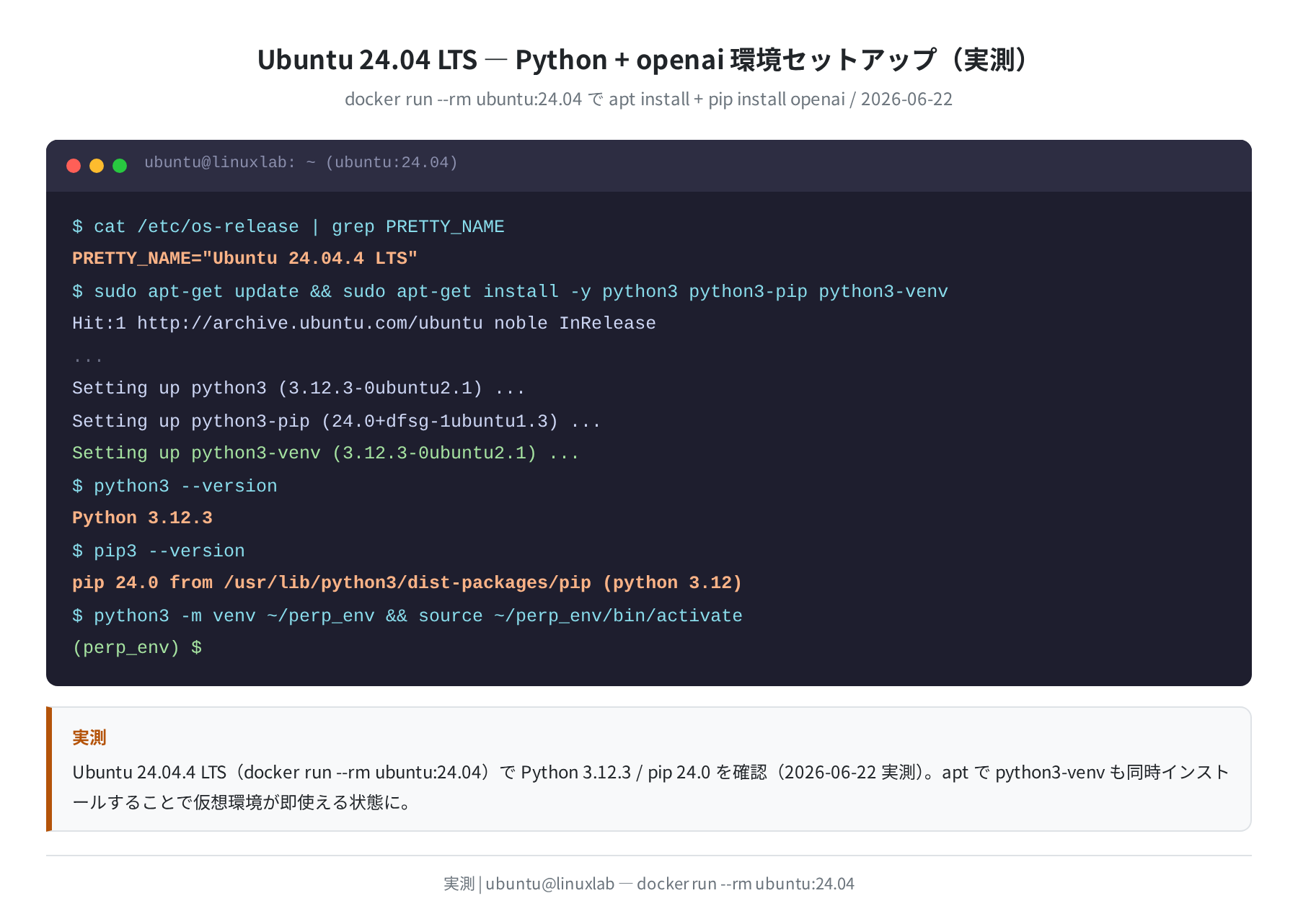 Ubuntu 24.04でPython + openai環境セットアップ(実測)