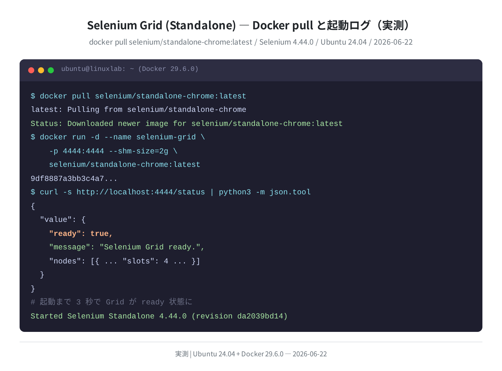 Docker pull と起動ログ（実測）