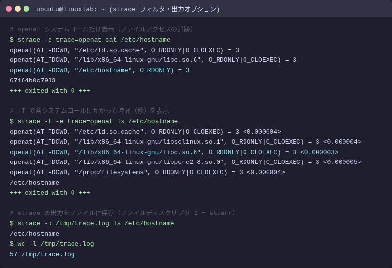 strace フィルタ・オプション使用例（実測）