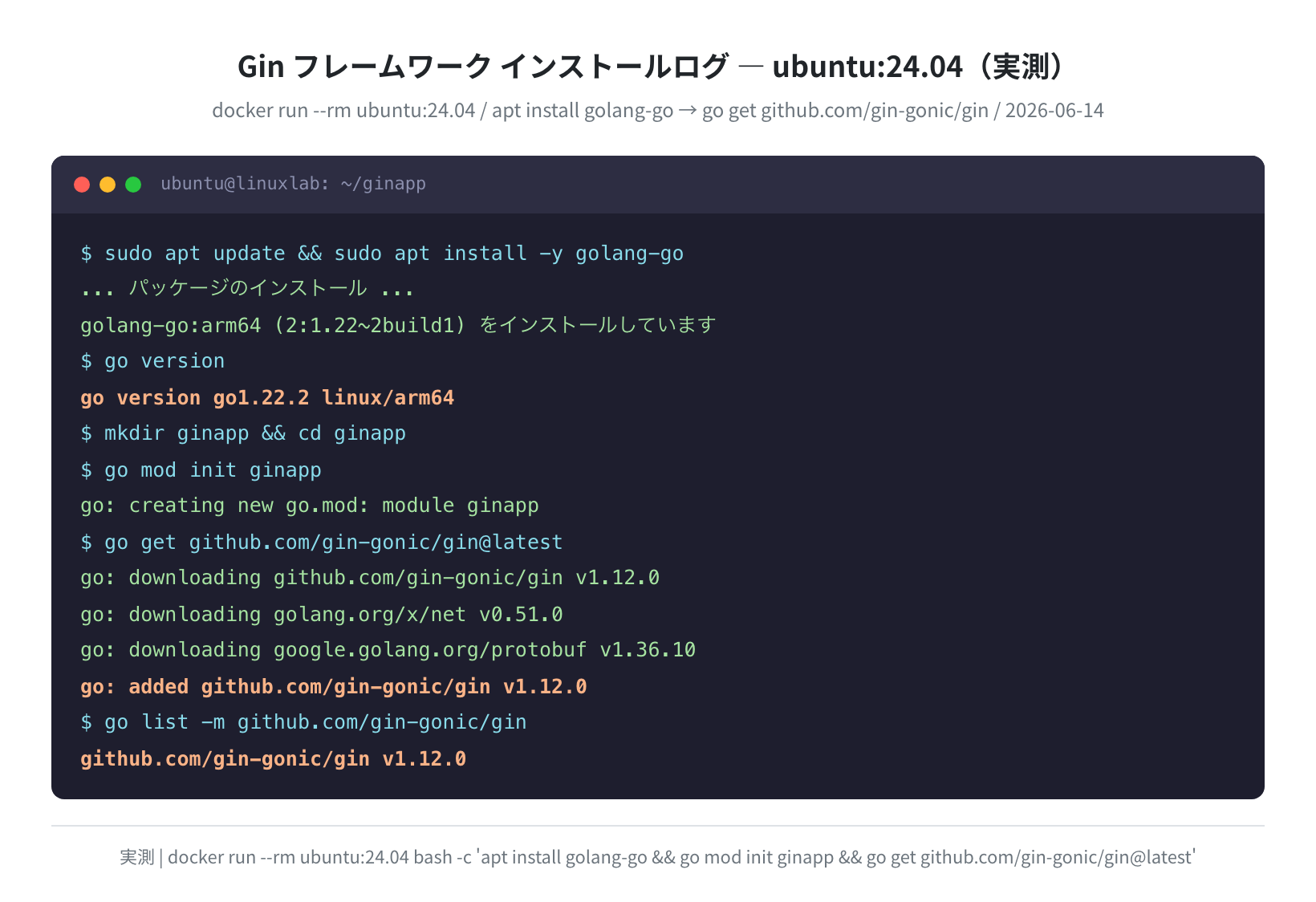 Gin v1.12.0 インストールログ(ubuntu:24.04 実測 2026-06-14)