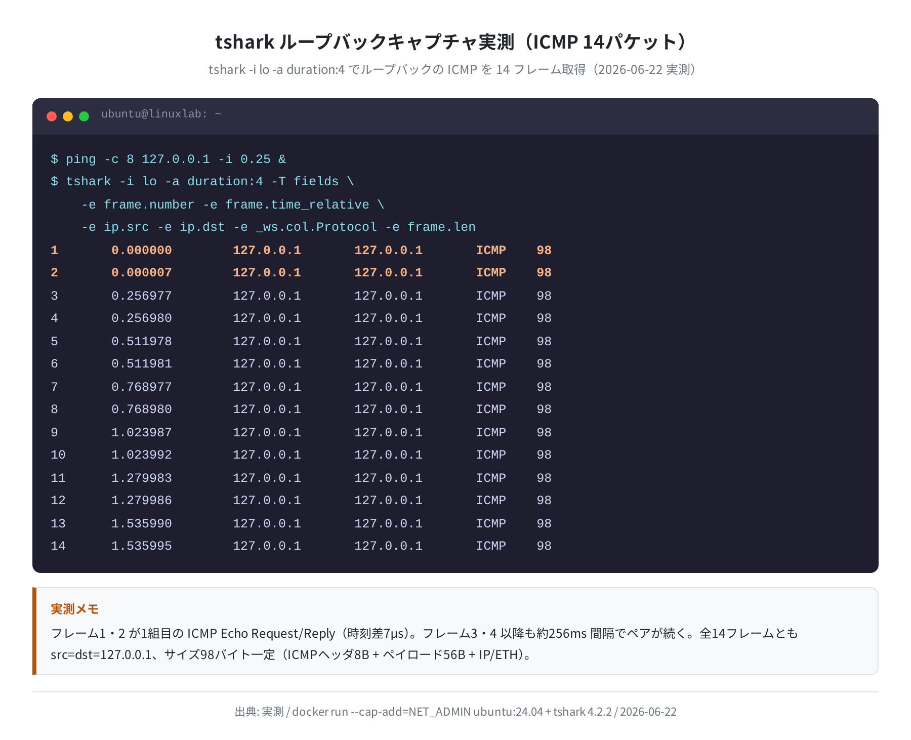 tshark ループバックキャプチャ実測（ICMP 14パケット）