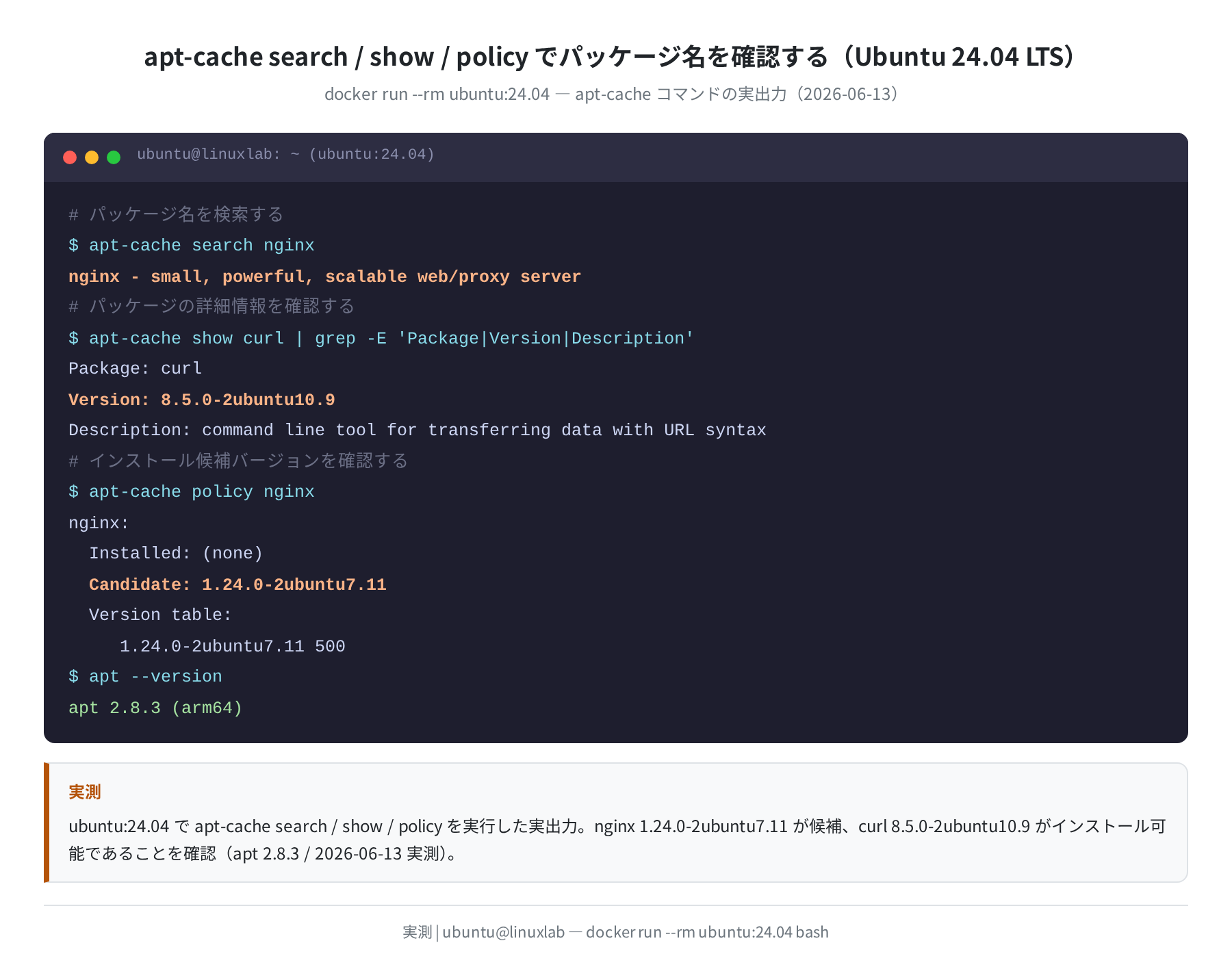 apt-cache search / show / policy の実出力(ubuntu:24.04 実測 2026-06-13)
