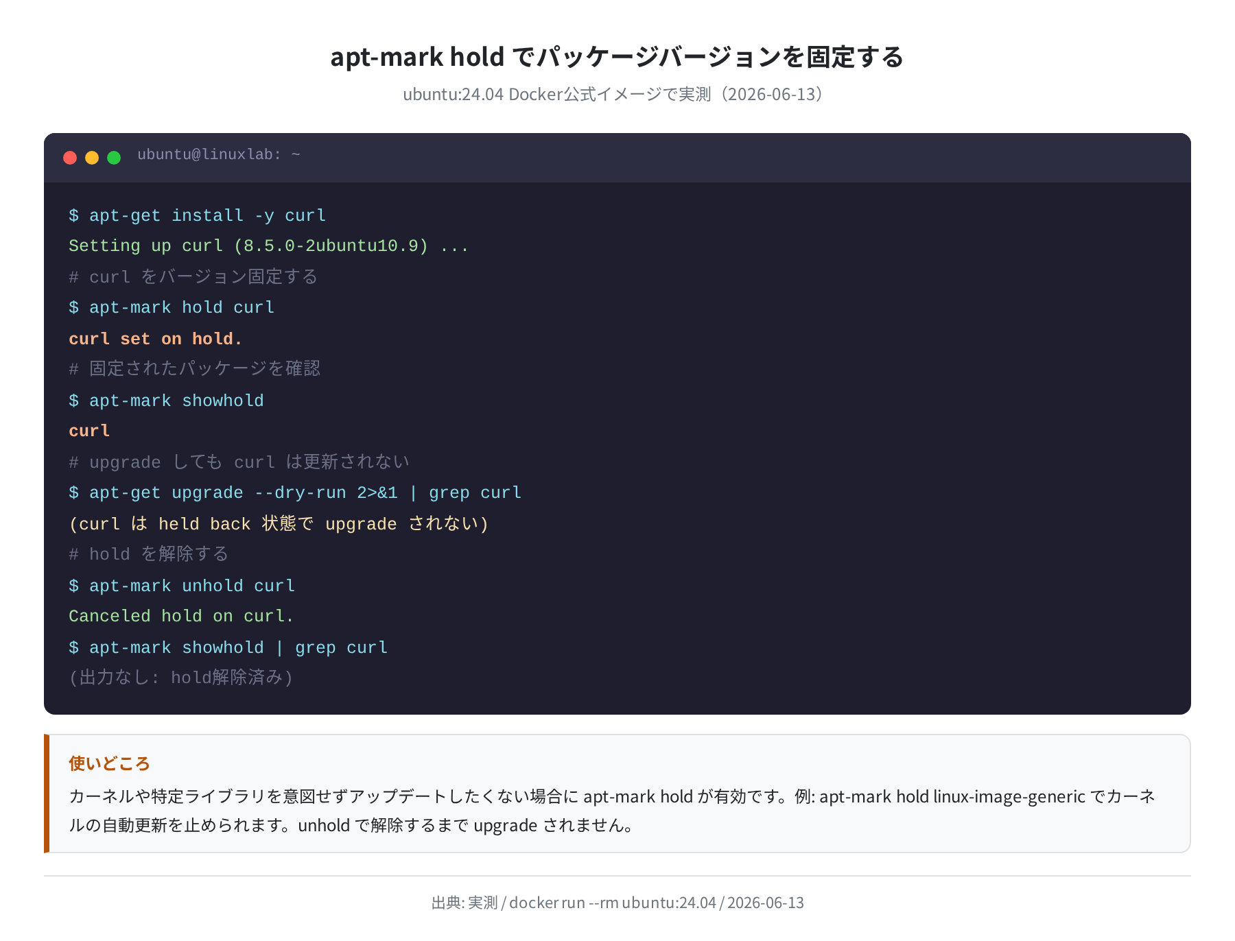 apt-mark hold/unhold でバージョン固定する実行例（実測）
