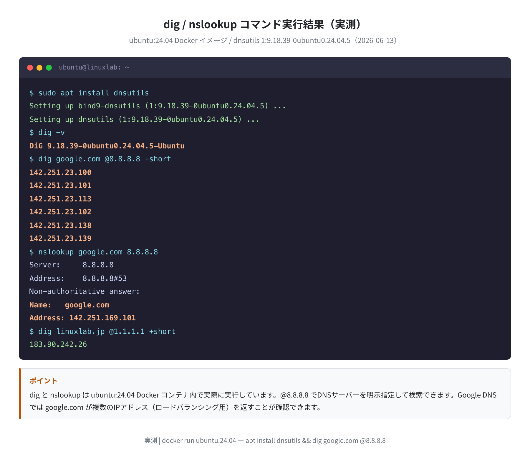 dig/nslookup コマンド実行結果（ubuntu:24.04 で実測）