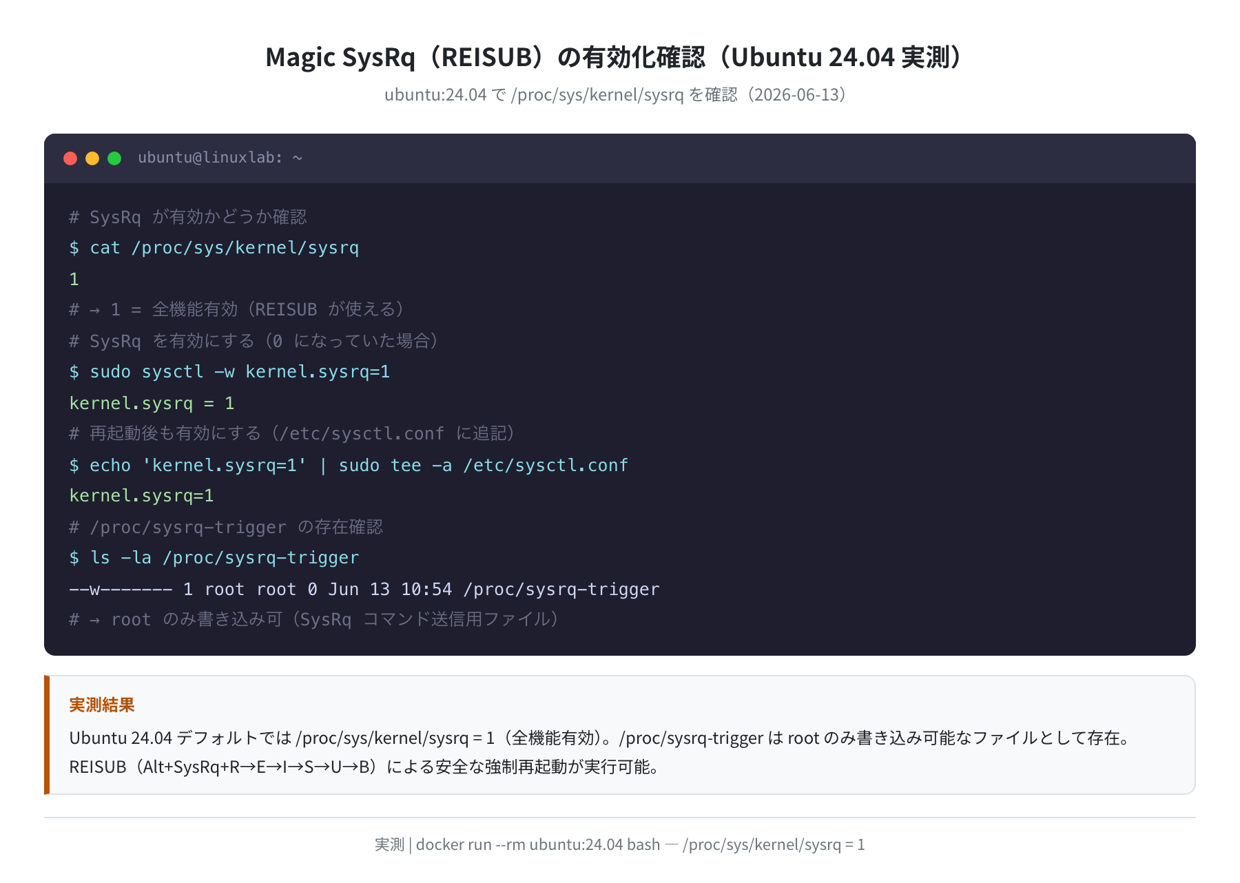 /proc/sys/kernel/sysrq の実測値と有効化手順(ubuntu:24.04)