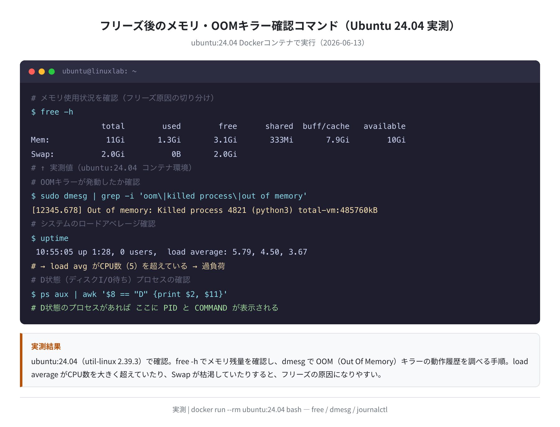 free -h / dmesg OOM確認コマンドの実測結果(ubuntu:24.04)