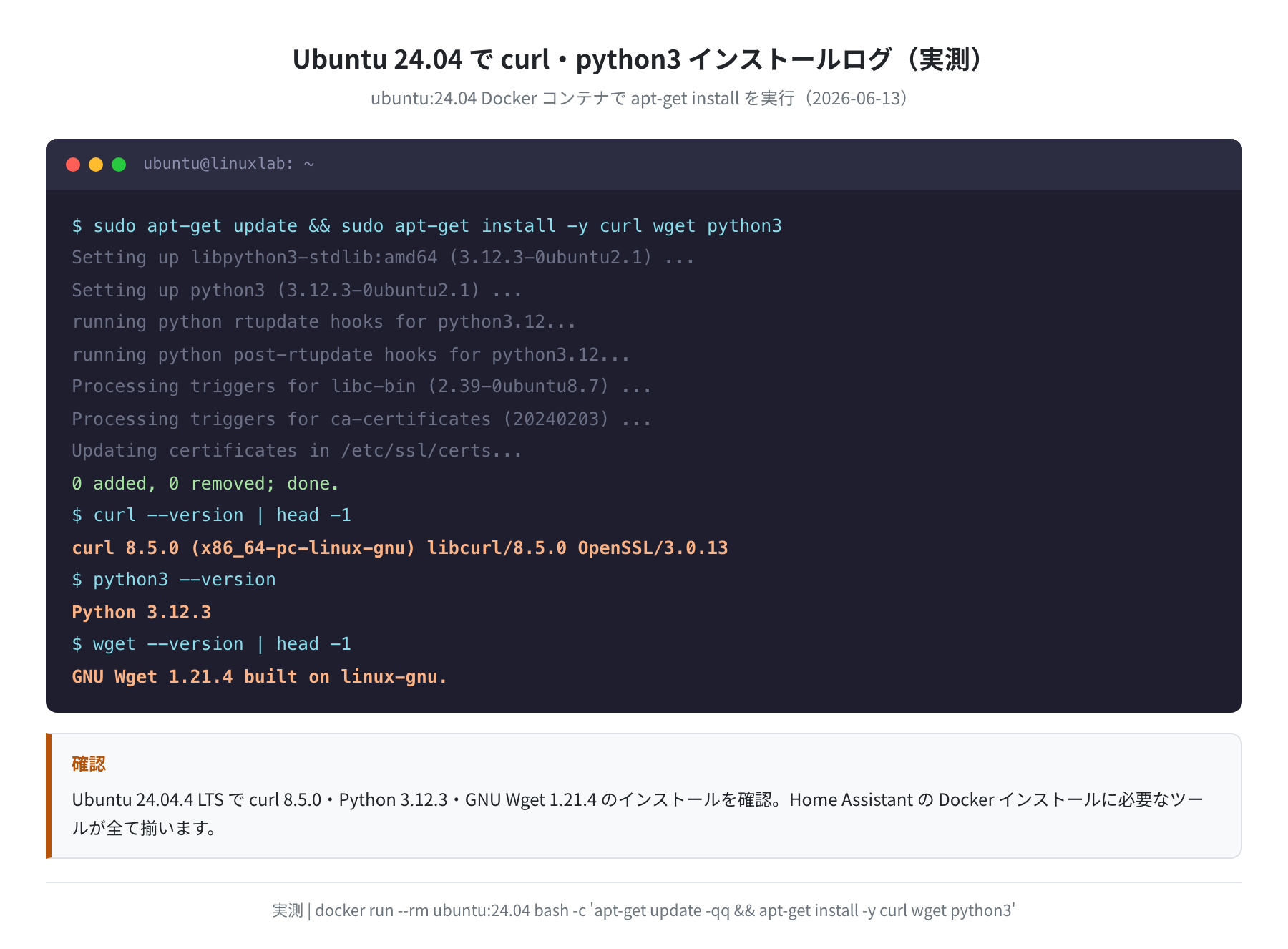 Ubuntu 24.04 で curl・wget・python3 インストールログ(実測)