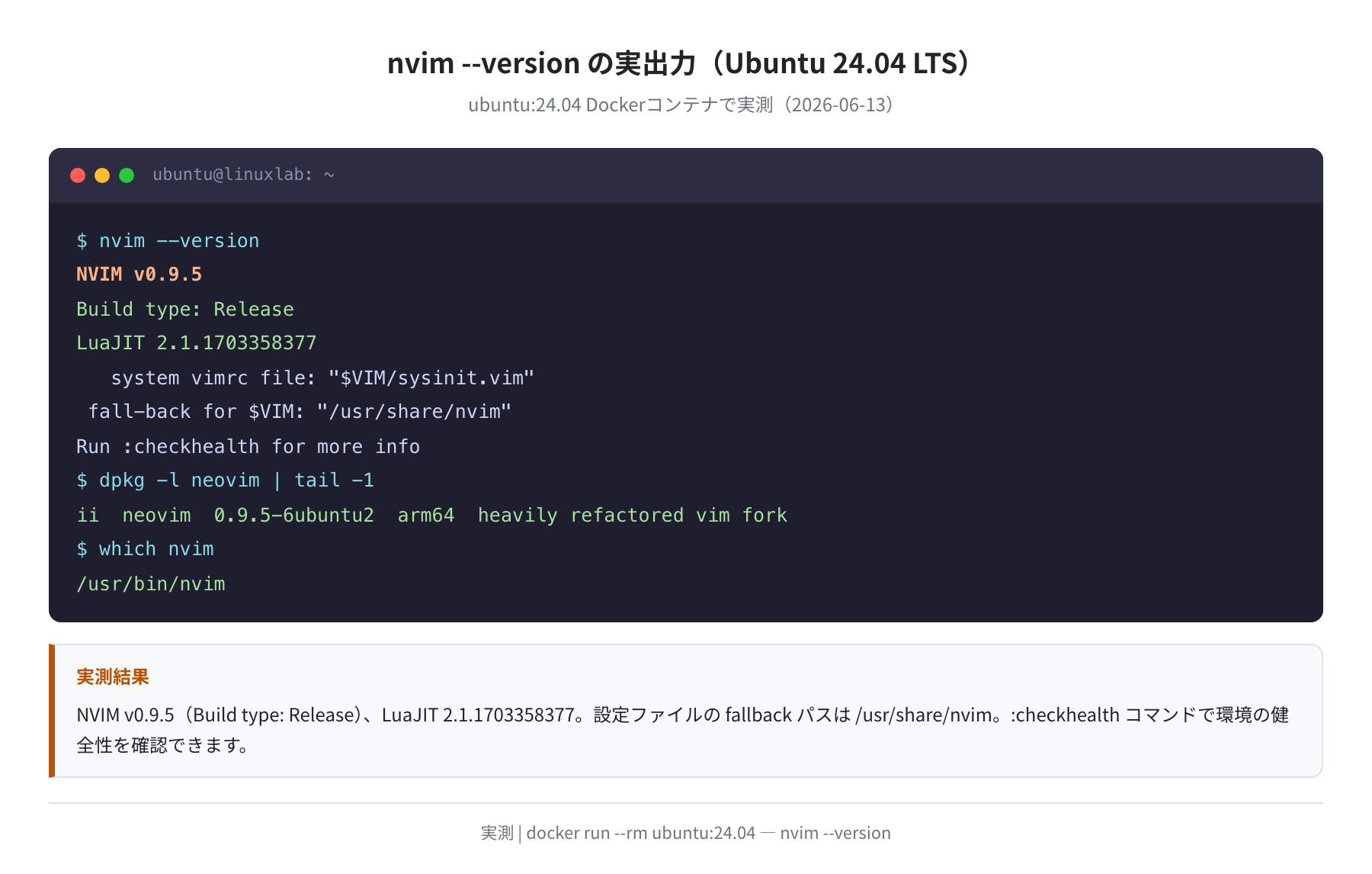 nvim --version の実出力