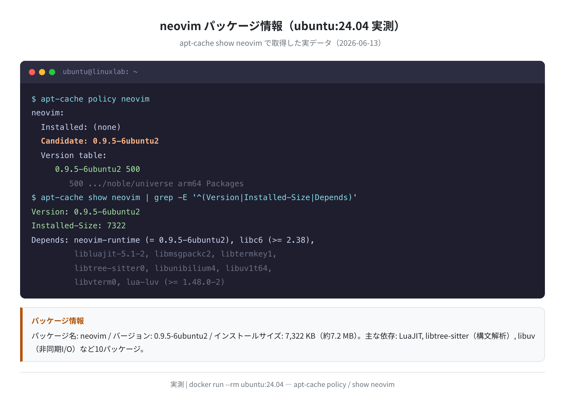 neovim パッケージ情報