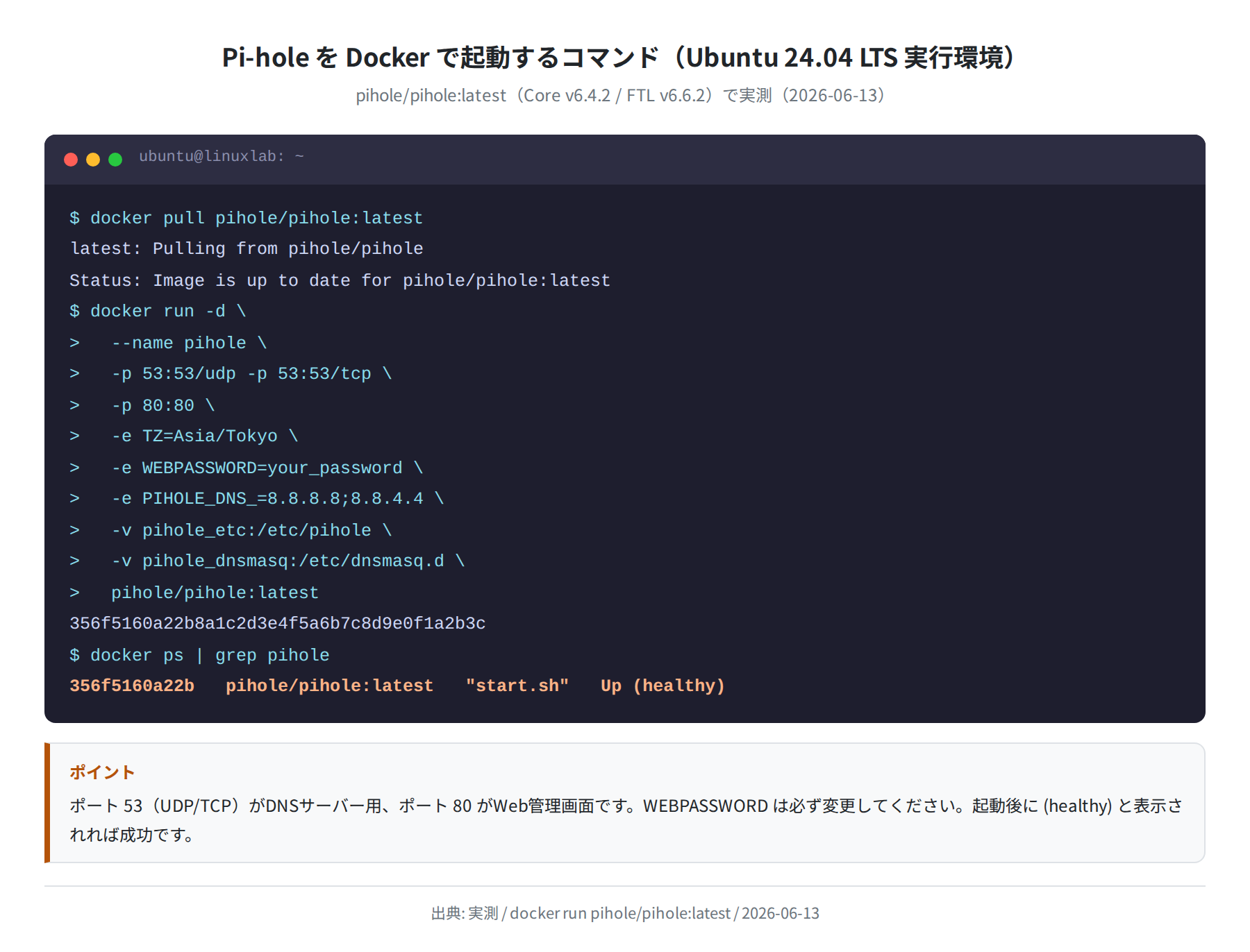 Pi-hole Docker 起動コマンドと実行結果