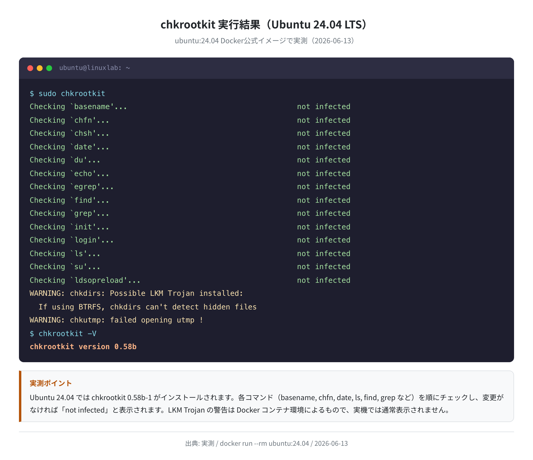 chkrootkit 実行結果(ubuntu:24.04 実測)