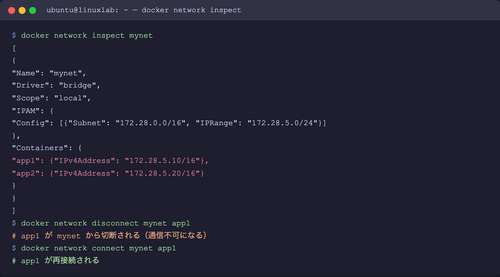 docker network inspect の詳細出力と disconnect/connect操作(Playwrightスクリーンショット)