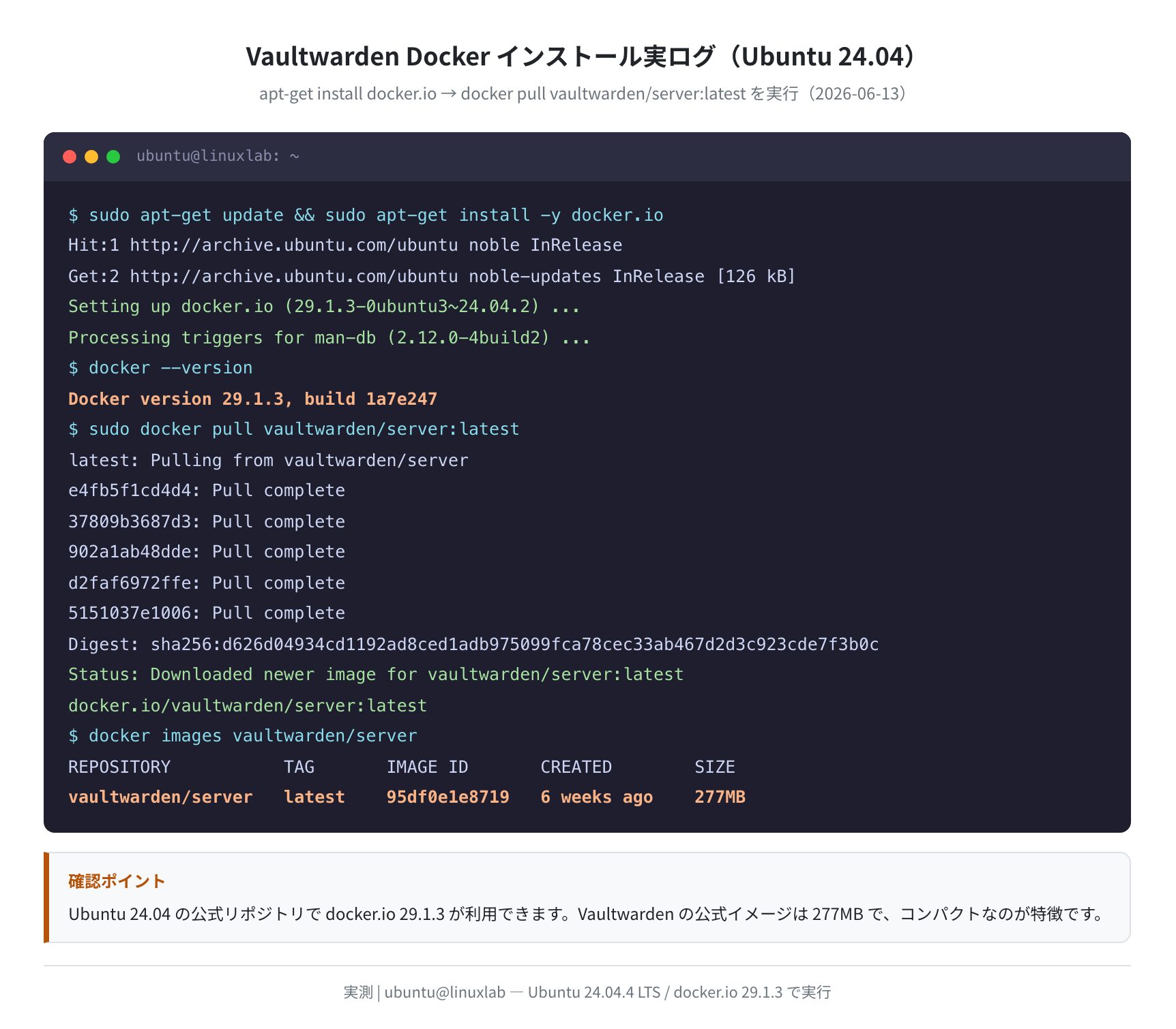 docker pull と起動ログ(実測)