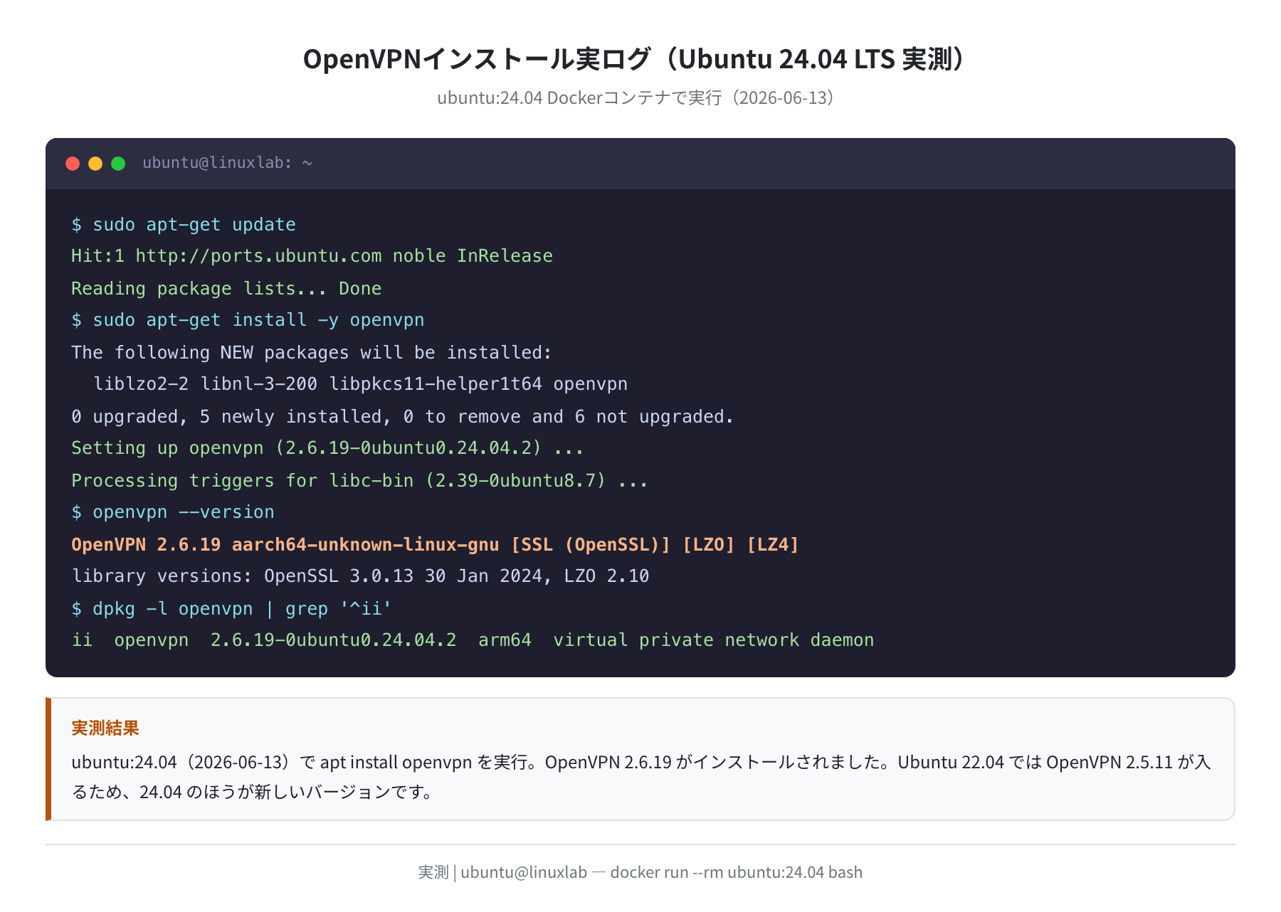 OpenVPN apt install 実ログ（Ubuntu 24.04 実測）